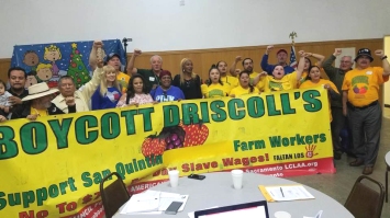 Boycott Driscoll's!